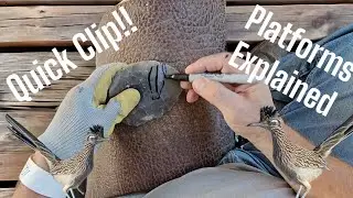Flintknapping, Platforms Explained With Visual Aid.