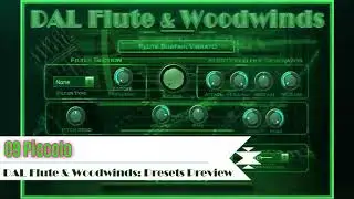 Virtual Piccolo VST VST3 Audio Unit EXS24 KONTAKT by DAL Flute & Woodwinds: Oboe, Clarinet, Bassoon
