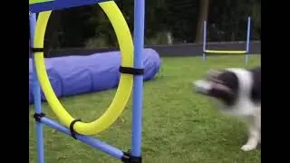 DIGGAR Agility-Sets, Trailer