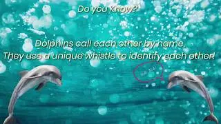 Animals Unknown Facts #KnowTheUnknown