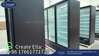 Glass Door Freezer & Chiller - Plug In