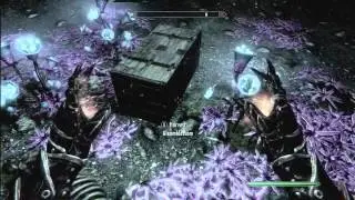 Skyrim: Dawnguard || Darkfall Passage (15)