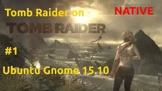 Любимые игрули [2.5.4] - Tomb Raider 2013 на Ubuntu part1 [Native, live]