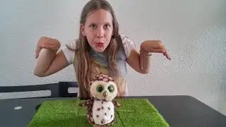 Большая коллекция мягких игрушек, сова! A large collection of stuffed animals, a night owl!