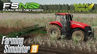 Tackling plowing and harvest contracts on Farm Sim Network (FSN) | FS19