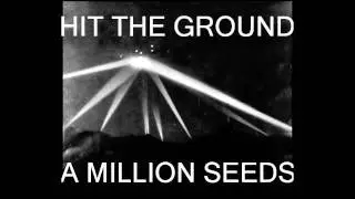 Hit The Ground - A Million Seeds