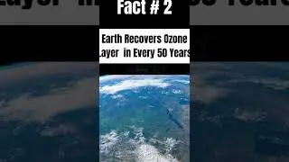 5 Amazing Facts Of The World  | Weird Info | Amazing Facts |  Mcqs Factory Official