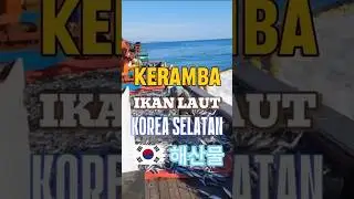 KERAMBA IKAN LAUT KOREA SELATAN #ikanlaut #kerambaapung #peternakanikan