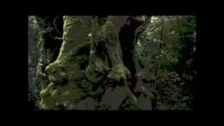 Bloodwood - Eridius Moon