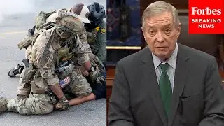 'They're Being Terrorized': Dick Durbin Lights Into Trump Over ICE Raids In Chicago