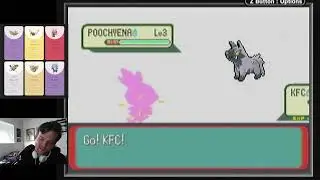 Pokémon Emerald BUG ONLY RUN! VOD 1