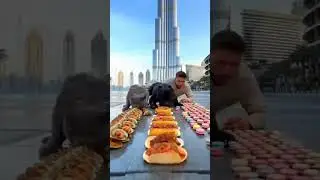 &ldquo;Food Challenge: Man vs Dog vs Cat!&rdquo;