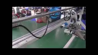 Labeling heads with handing system inline label head application