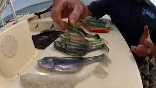 MC Weedless Swimbaits