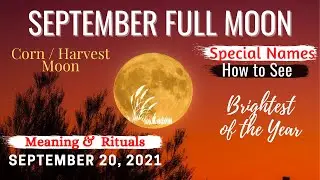 Full HARVEST MOON 2021 | Full Moon Day September 2021 |  When is the next full moon in 2021