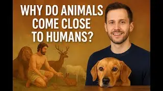 Why Do Animals Come Close to Humans? &mdash; Seeing God&rsquo;s Purpose Through Our Pets