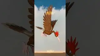 Who&rsquo;s That Pok&eacute;mon? Serisi 76: Fearow! #pokemon #fearow