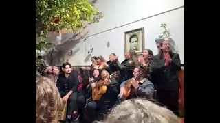 Villancicos - Peña Flamenca 