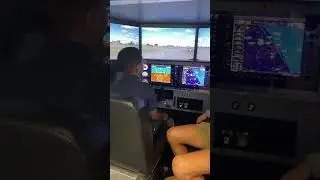 The best flight simulator #shorts