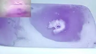 Onyx Bathhouse Dancing Princess bath bomb demo + underwater view (4 ★)
