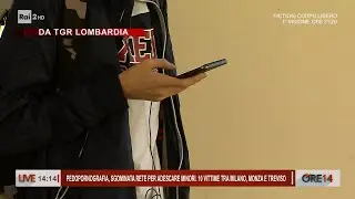Pedopornografia, sgominata rete per adescare minori - Ore 14 del 08/11/2023