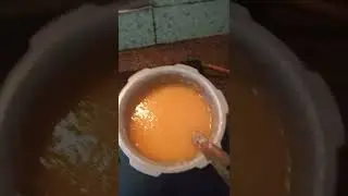 dog liquid food easy digest