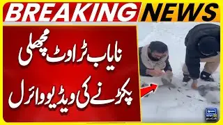 Rare Trout Fish Caught &ndash; Viral Video | Illegal Fishing | Govt In Action | Suno News HD