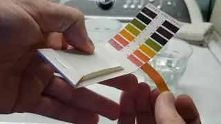 Testing My pH Test Strips