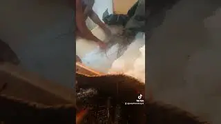 how to store live lobstar in iceflakes and still remain live  the whole night