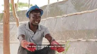 Environmental Impact of Small Scale Mining in Geita, Tanzania