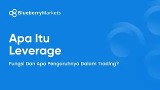 APA ITU LEVERAGE