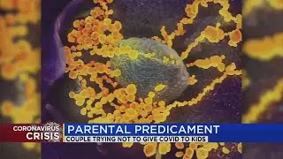 Family learning to parent while quarantined from kids