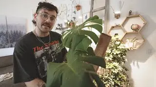 Экскурсия по заводу Жюльена (2021)
