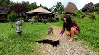 Romania - Raven's Nest (Hidden village - Transylvania)