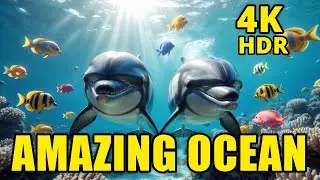 Ocean Life 4K:  | Cinematic Underwater Documentary | Relaxing Sounds