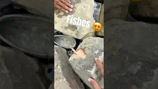 I got Fishes in Pond 😍#shorts