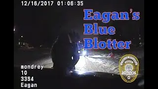 Eagan's Blue Blotter: December 2017