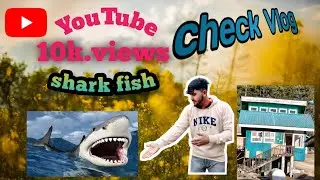 Shark fish 🐠 | Patnitop sanasar vlogging | dangerous zone ♥️♥️♥️♥️😈