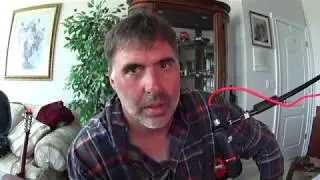 Do Catfish Really Sting?