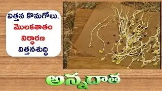 Procedure for Germination Test | for Seed Treatment || ETV Annadata
