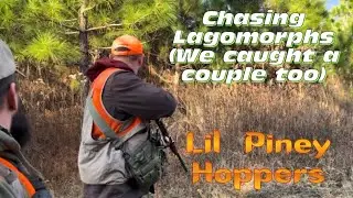 Lil Piney Hoppers rabbit hunt, or I guess you could say chase! 