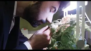 Challenge - Product video by Craq Design Studio for Bulbo