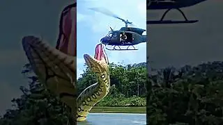 This Giant Snake Attack on Military#snake #military #attack #snakevideo#amazon #shorts
