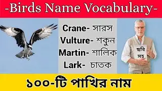 Birds Name | Birds Name Bangla English | Birds Name Bengali To English | KN. Learning Attitude
