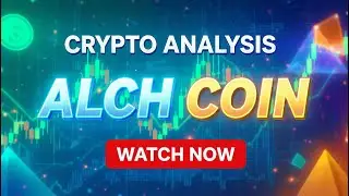 ALCH Coin Review | What You Should Know!