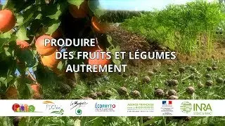 Produire des fruits et l&eacute;gumes autrement