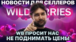 ◤Прощаемся с фикс фразами | Маркетплейсу очень нужны ваши деньги | Акция 11.11 разочаровала