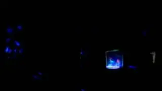 Pink Toast - Lay Off The Acid LIVE