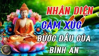 Nhận Diện Cảm X&uacute;c | Bước Đầu Của Tự Do Nội T&acirc;m &ndash; Buddha Whisper 