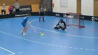 SESTŘIH | 1. liga mužů &ndash; semifin&aacute;le #1: FB&Scaron; Hummel Hattrick Brno - Goldea PANTHERS OTROKOVICE